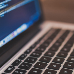 豐富的項目管理經驗